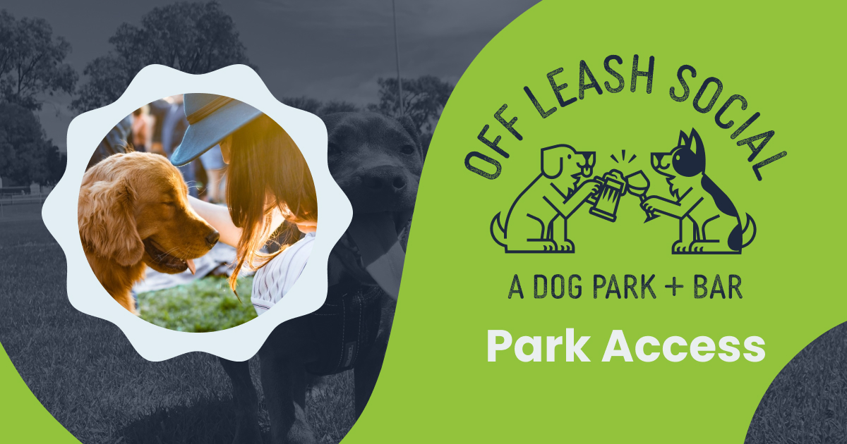 Park Access Off Leash Social Johnson City, TN